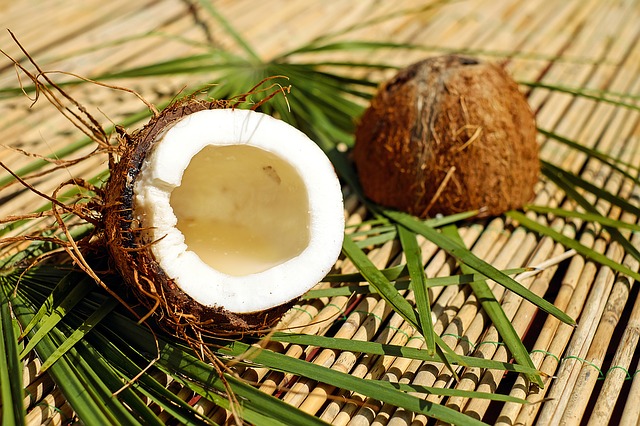 Die Kokosmatte Der Allzweckhelfer Fur Den Garten